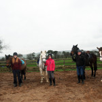 riders standing beside horse in County Antrim