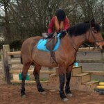 Girl using steps to get on horse in County Antrim