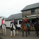 horses in front of shop in County Antrim