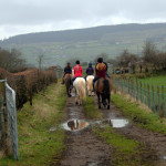 horses trailing on dirt road in County Antrim