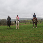 horses and riders in field in County Antrim