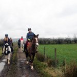 horses on dirt trail in County Antrim