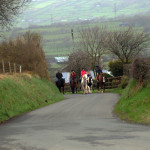horses on country road in County Antrim