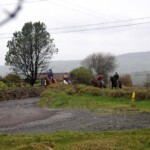 group of horses coming over the hill in County Antrim
