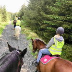 3 people riding horses on trail in County Antrim