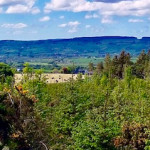 View of hills and forest in County Antrim