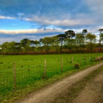 Road along side of field with metal fence and posts in County Antrim