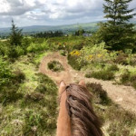 View from back of a horse in County Antrim