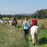 Rear view of horse riders in line on grass trail in County Antrim