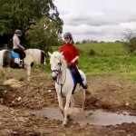 White horse riding over small stream in County Antrim