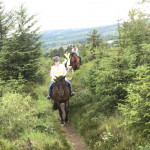 Horses riding through forest trail in County Antrim