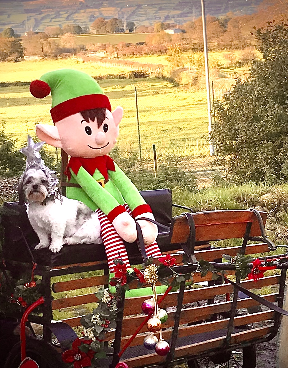 santa